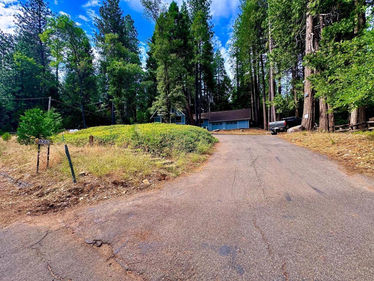 Cabin In The Trees-Game Room Pollock Pines ภายนอก รูปภาพ