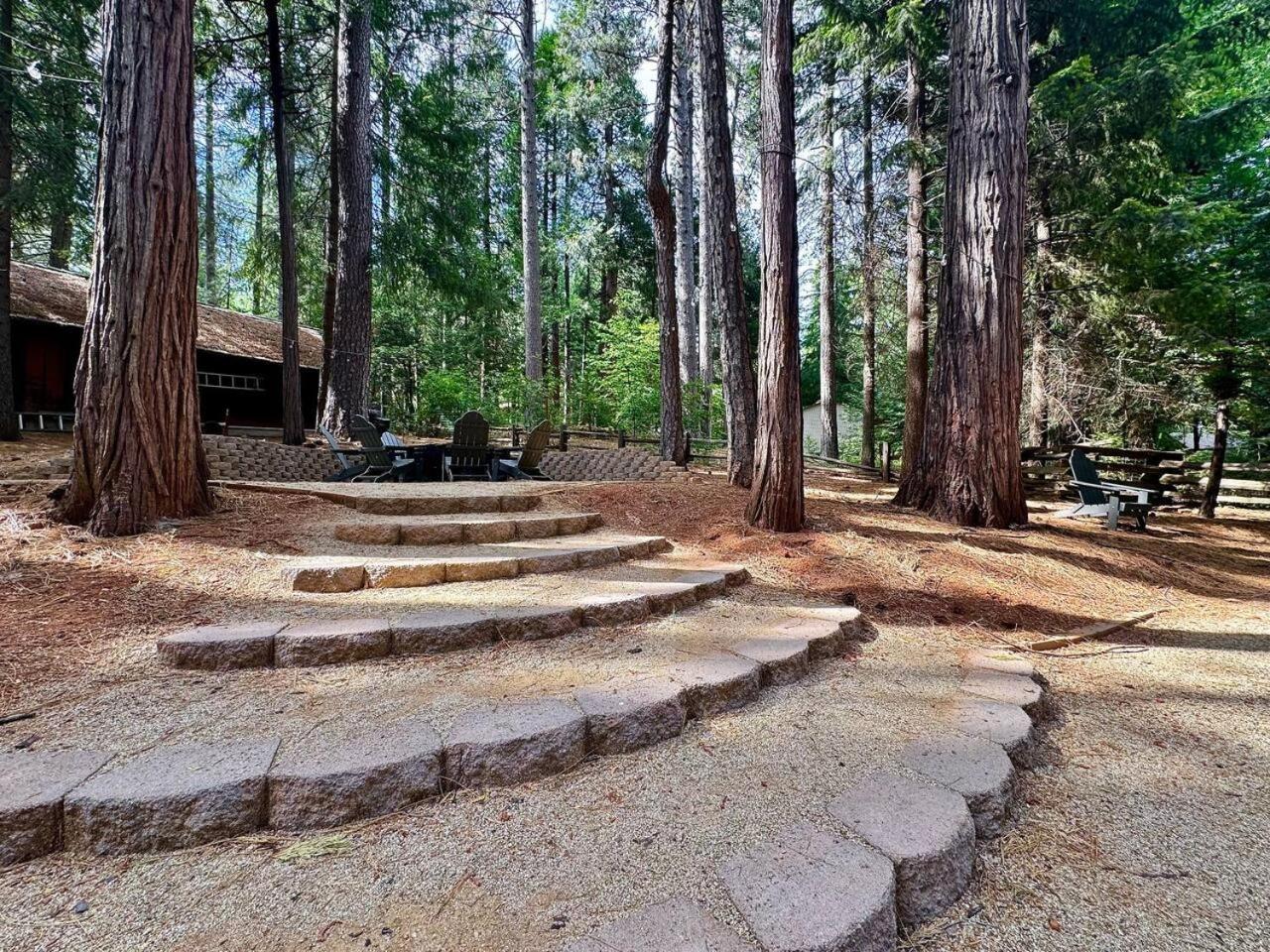 Cabin In The Trees-Game Room Pollock Pines ภายนอก รูปภาพ