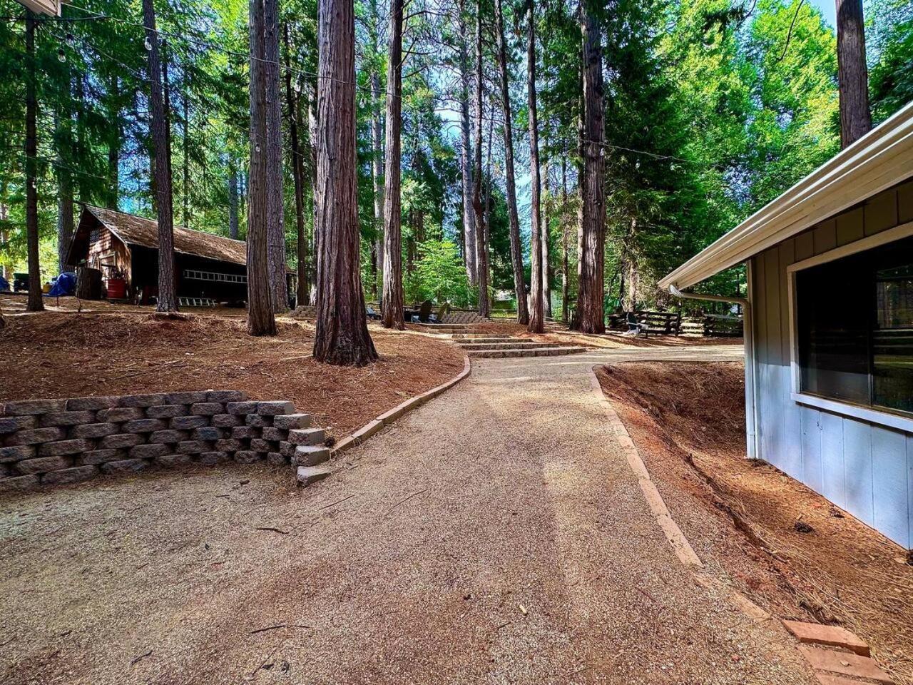 Cabin In The Trees-Game Room Pollock Pines ภายนอก รูปภาพ